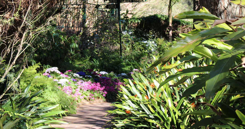 (Ảnh: Sao Băng/Vietnam+)