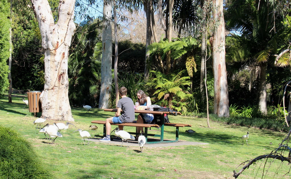 (Ảnh: Sao Băng/Vietnam+)