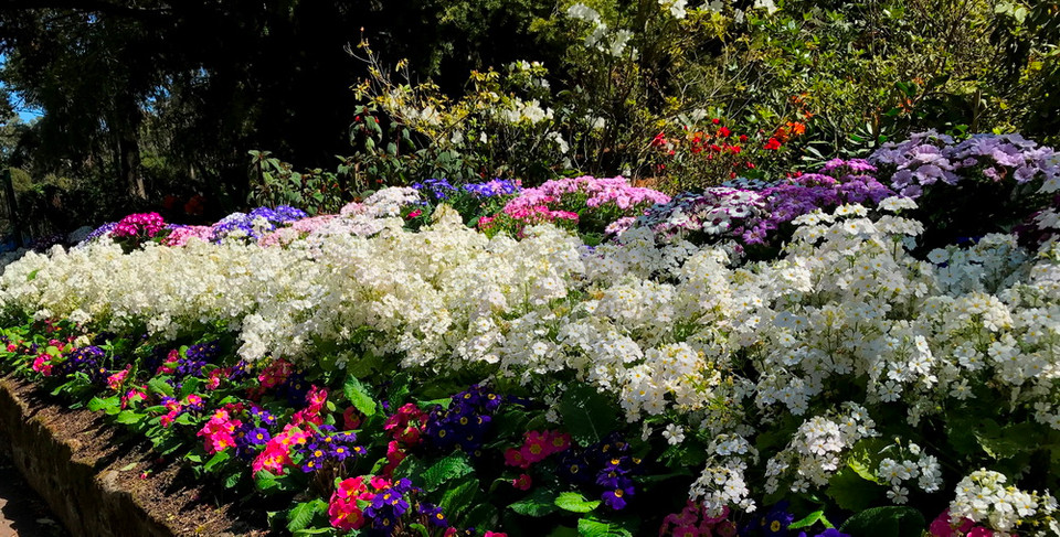 (Ảnh: Sao Băng/Vietnam+)