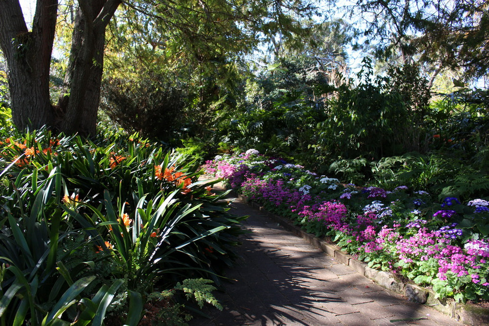 Cách trung tâm Sydney khoảng chừng 20km về phía Nam, tới đây vào một ngày mùa ​Xuân, bạn sẽ được thưởng thức một không gian xanh mướt cùng những màu hoa rực rỡ. (Ảnh: Sao Băng/Vietnam+)
