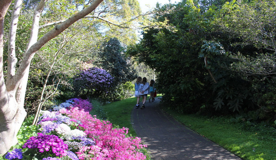 (Ảnh: Sao Băng/Vietnam+)