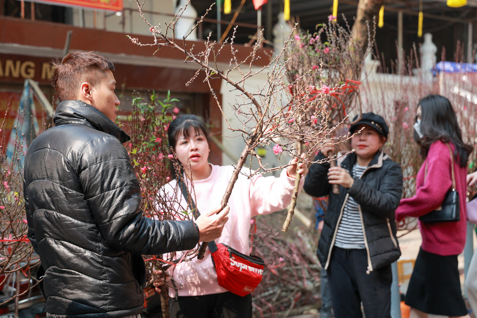 Nhiều người dân mua đào muộn để chơi Tết. (Ảnh: Minh Hiếu/Vietnam+)