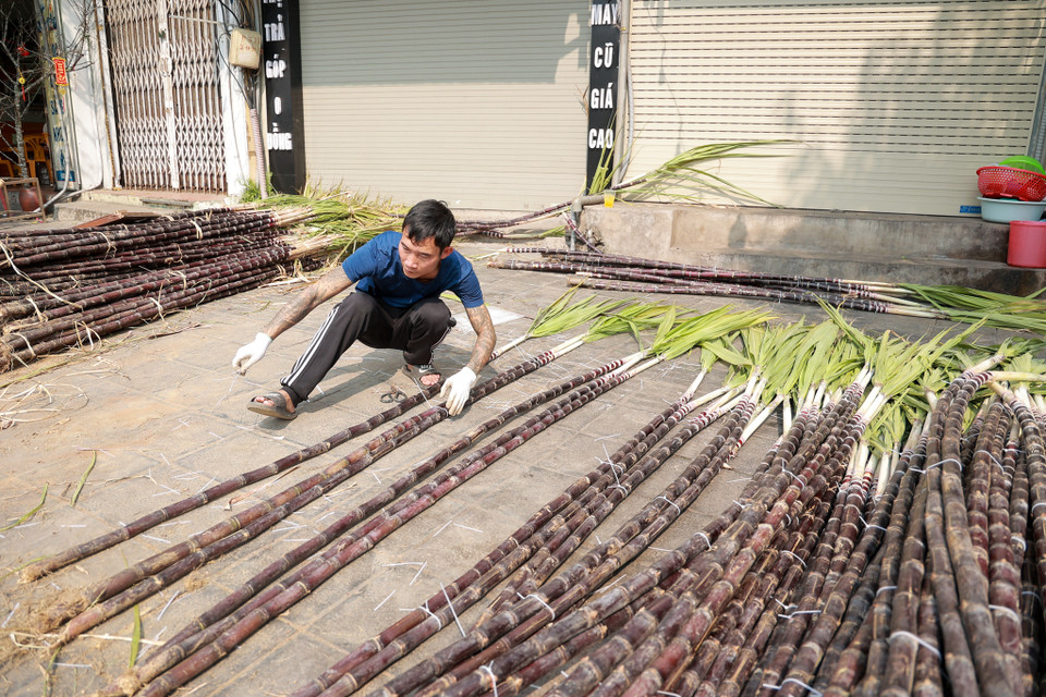 Một tiểu thương đang chuẩn bị mía lộc từ sớm để bán trong đêm giao thừa. (Ảnh: Minh Hiếu/Vietnam+)