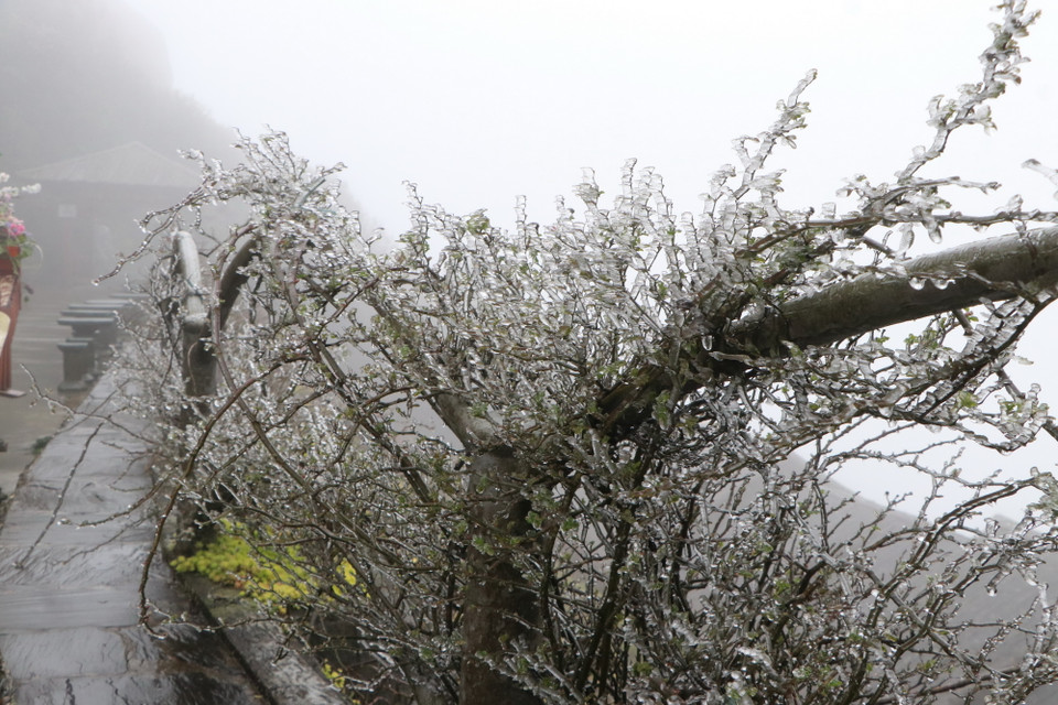 Băng bám dày đặc trên lan can. (Ảnh: Nguyễn Oanh/TTXVN)