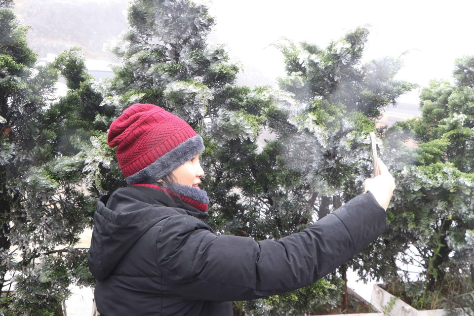 Du khách hào hứng với "cây băng". (Ảnh: Nguyễn Oanh/TTXVN)