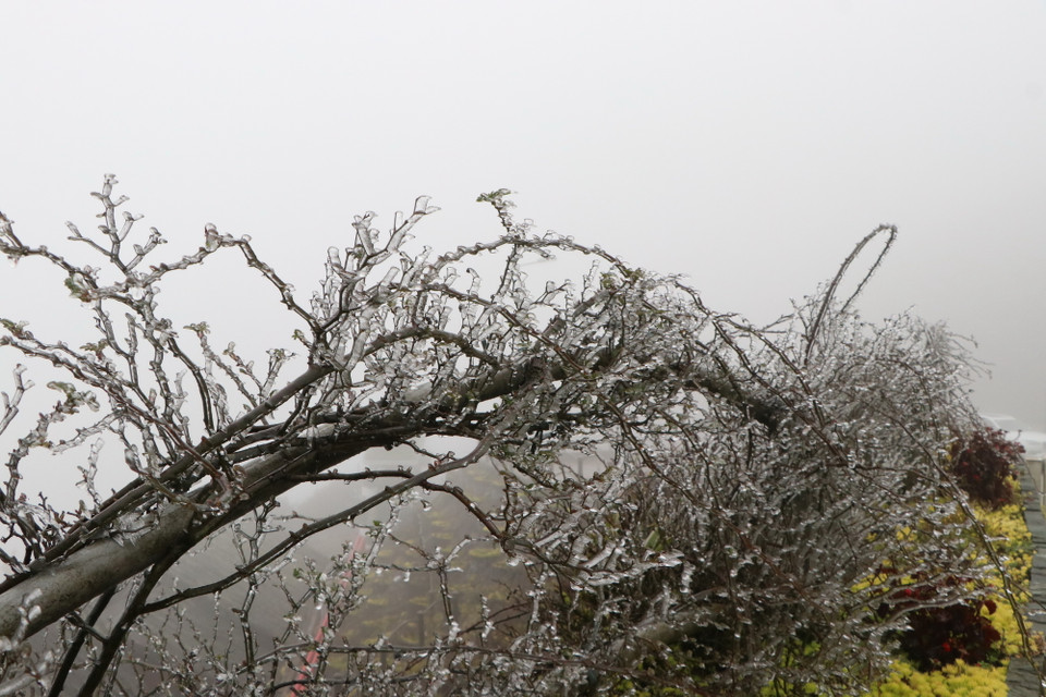 Băng phủ kín nhiều khu vực ở khu du lịch Cổng trời. (Ảnh: Nguyễn Oanh/TTXVN)