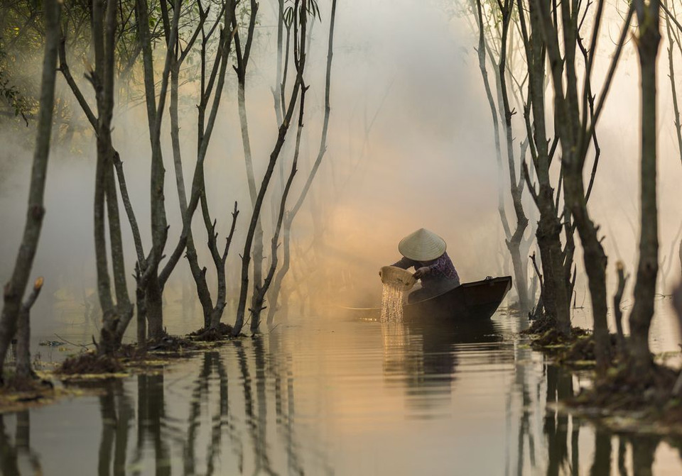 Thân cò. (Nguồn: NatGeo)