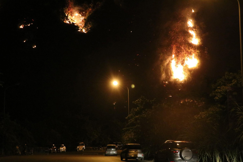 Khoảng 18 giờ ngày 28/6, người dân địa phương phát hiện đám cháy bùng phát tại rừng đặc dụng trên núi Vụng Quao, thôn Tràng An, xã Trường Yên, huyện Hoa Lư, tỉnh Ninh Bình.(Ảnh: Ninh Đức Phương/TTXVN)