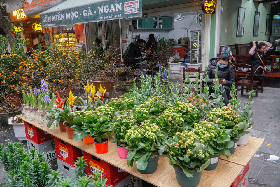 (Ảnh: Minh Hiếu/Vietnam+)