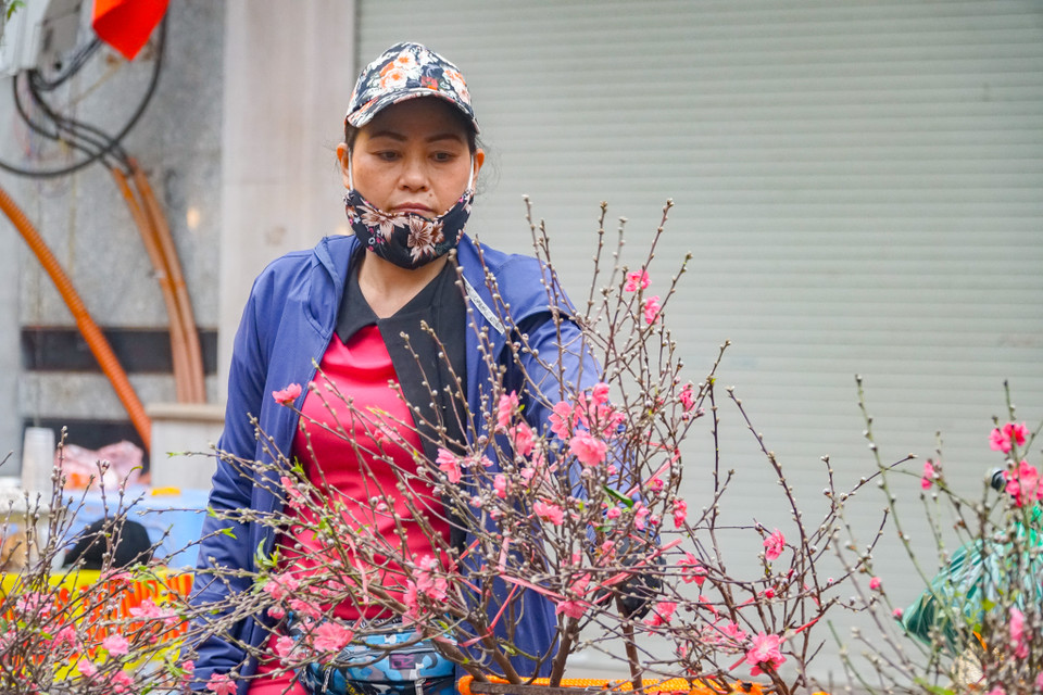 Đào cành, đào cắm lọ là mặt hàng được xem là "đặc sản" ở phiên chợ cổ này. Đào được các tiểu thương nhập từ Nhật Tân, mang đậm hơi thở của mùa Xuân. (Ảnh: Minh Hiếu/Vietnam+)