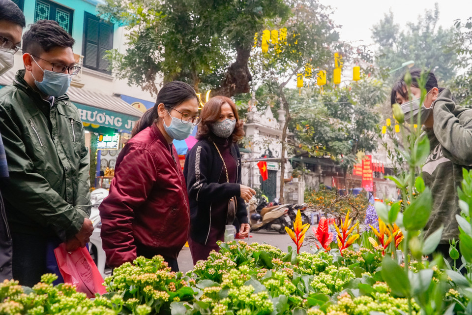 Điểm đặc biệt của chợ hoa Tết truyền thống là chỉ họp một lần duy nhất trong năm, bắt đầu từ ngày 15 đến ngày 30 tháng Chạp và càng gần Tết thì càng đông vui, tấp nập, tạo nên một không gian mang đậm không khí Tết của Hà thành. (Ảnh: Minh Hiếu/Vietnam+)