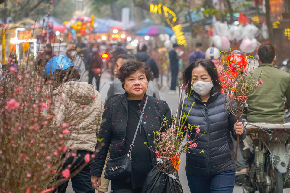 Bất kỳ người Hà Nội gốc nào cũng có những ký ức tuổi thơ về chợ hoa này khi theo bà, theo mẹ đi chợ. Trẻ nhỏ đi chợ hoa để xem, để chơi còn người lớn, ngoài việc mua sắm cành đào, cây quất, bó hoa tươi, thì ai ai cũng muốn thưởng thức cái không khí đông vui, được đắm mình trong rừng hoa khoe sắc giữa lòng phố cổ Hà Nội, mà mỗi năm chỉ có ở mấy ngày Tết. (Ảnh: Minh Hiếu/Vietnam+)