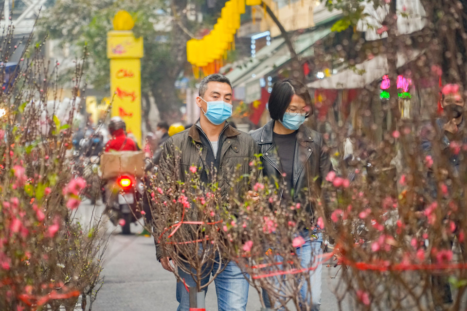 Đã gần 500 năm tuổi, chợ hoa Hàng Lược mỗi năm chỉ họp một phiên vào dịp Tết Nguyên đán. Từ ngày 23 tháng Chạp tới 30 Tết, người dân những làng ven đô như Ngọc Hà, Tứ Liên, Nghi Tàm, Nhật Tân, Quảng Bá… lại mang các loài hoa đến đây bày bán. Càng gần Tết, chợ càng đông vui, tấp nập. (Ảnh: Minh Hiếu/Vietnam+)