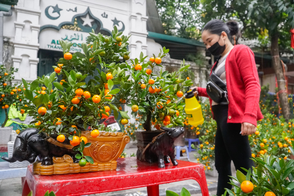 (Ảnh: Minh Hiếu/Vietnam+)