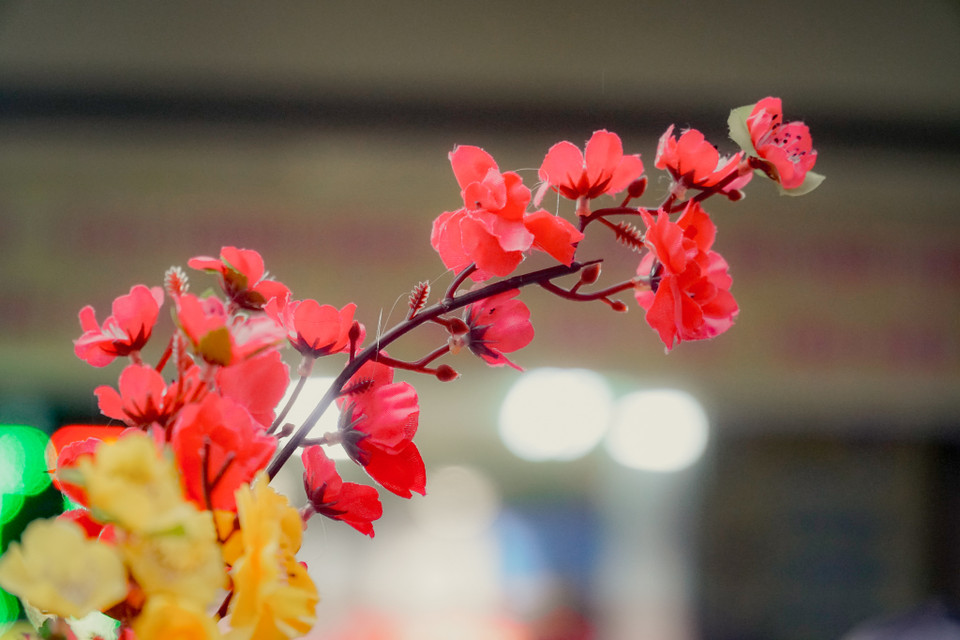 (Ảnh: Minh Hiếu/Vietnam+)