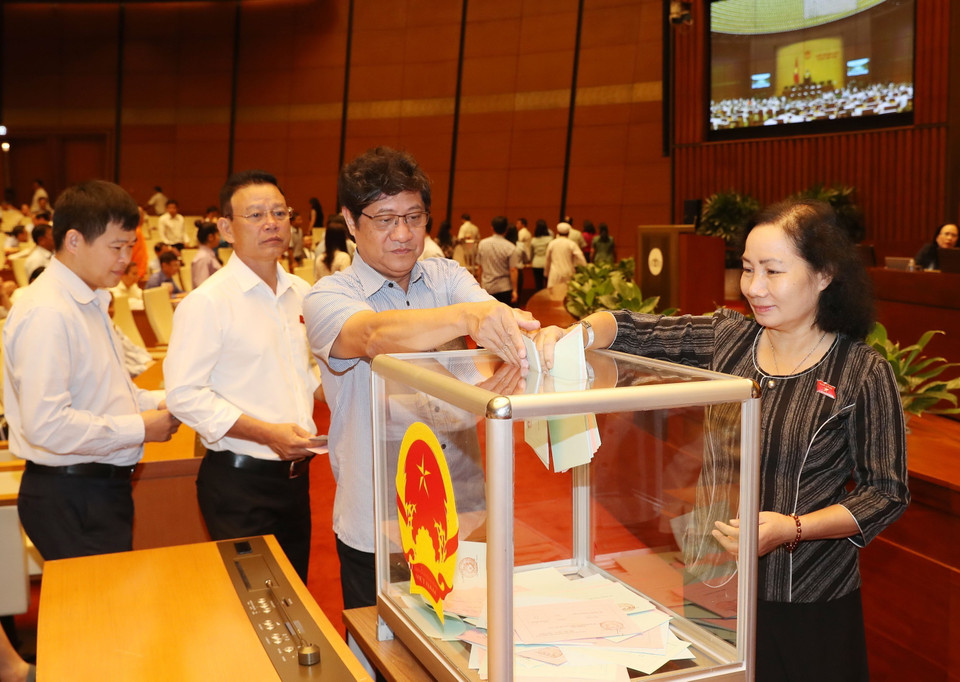 Các đại biểu Quốc hội bỏ phiếu. (Ảnh: Trọng Đức/TTXVN)