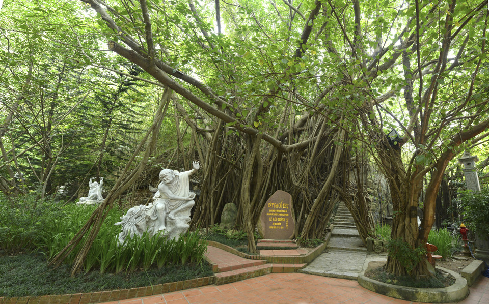 Đường đi trong khuôn viên di tích với hàng cây xanh mát. (Ảnh: Minh Đức/TTXVN)