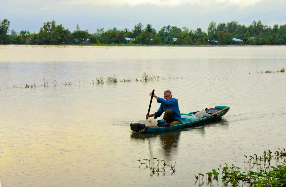 Nước ngập trần trên các cánh đồng huyện Vị Thủy. (Ảnh: Duy Khương/TTXVN)