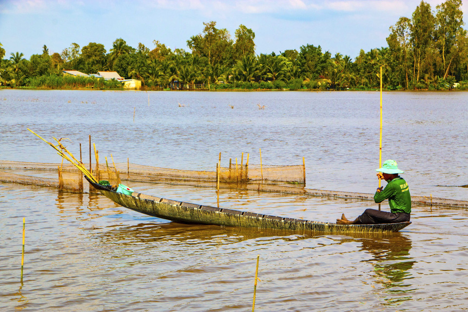 Nước ngập cánh đồng tại huyện Vị Thủy. (Ảnh: Duy Khương/TTXVN)