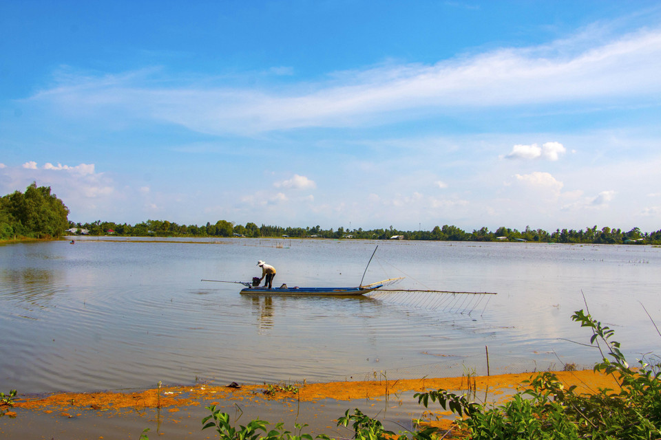 Người dân huyện Vị Thủy bắt cá trên cánh đồng ngập nước. (Ảnh: Duy Khương/TTXVN)