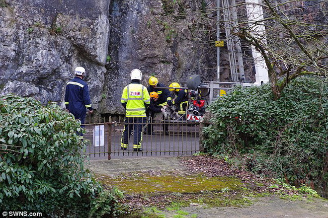 Các nhân viên của trung tâm cứu hộ đã dùng xe thang để đưa con dê xuống. (Nguồn: Daily Mail)
