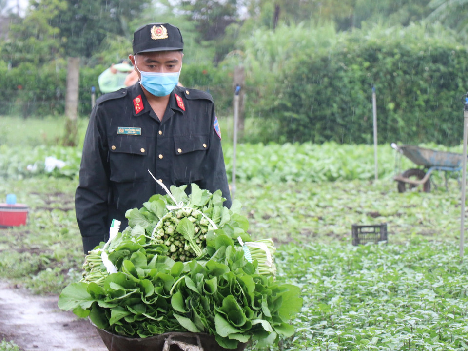 Chiến sỹ Công an tỉnh Đắk Lắk chuyển rau cải ra xe để chuyển đến vùng tâm dịch phía Nam. (Ảnh: Tuấn Anh/TTXVN)
