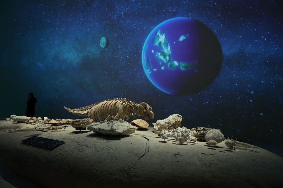 Bảo tàng Nghệ thuật Hồi giáo trưng bày tác phẩm nghệ thuật đương đại. (Ảnh: Dương Giang/TTXVN)