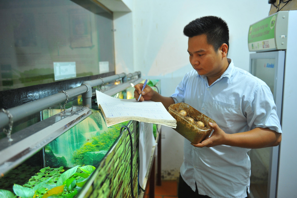  Anh Đỗ Thanh Hào, Giám đốc Trung tâm bảo tồn rùa Cúc Phương, kiểm tra trứng rùa và theo dõi qua sổ ghi chép. (Ảnh: Minh Đức/TTXVN)