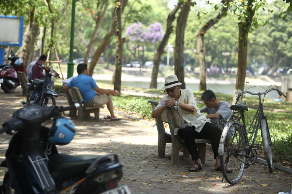 Trời nắng, nhiều người ra công viên hoặc những nơi nhiều cây xanh để giảm nhiệt. (Ảnh: Minh Quyết/TTXVN)