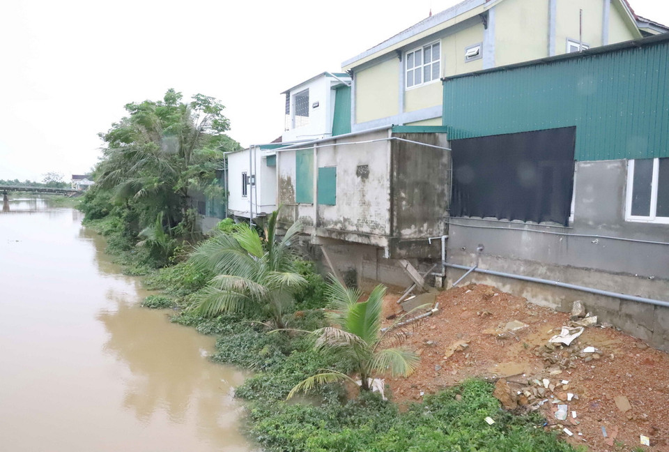 Những ngôi nhà nằm “chênh vênh” bên mép nước dọc bờ đê kênh tiêu lũ Vách Bắc. (Ảnh: Văn Tý/TTXVN)