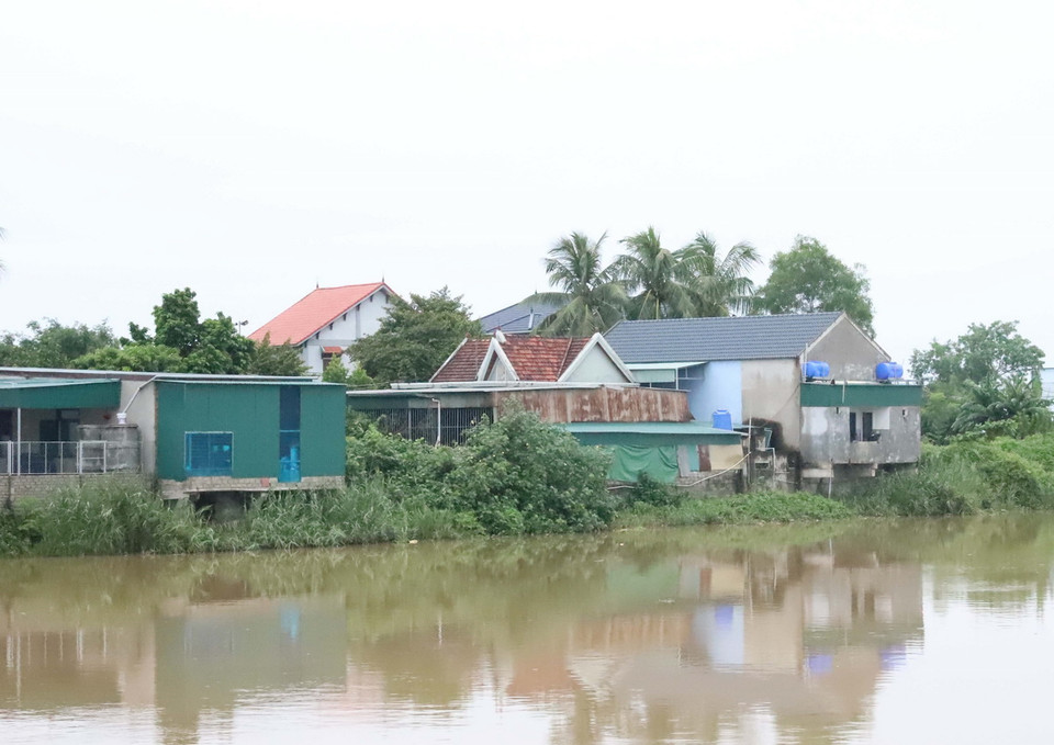 Những ngôi nhà nằm “chênh vênh” bên mép nước dọc bờ đê kênh tiêu lũ Vách Bắc.(Ảnh: Văn Tý/TTXVN)