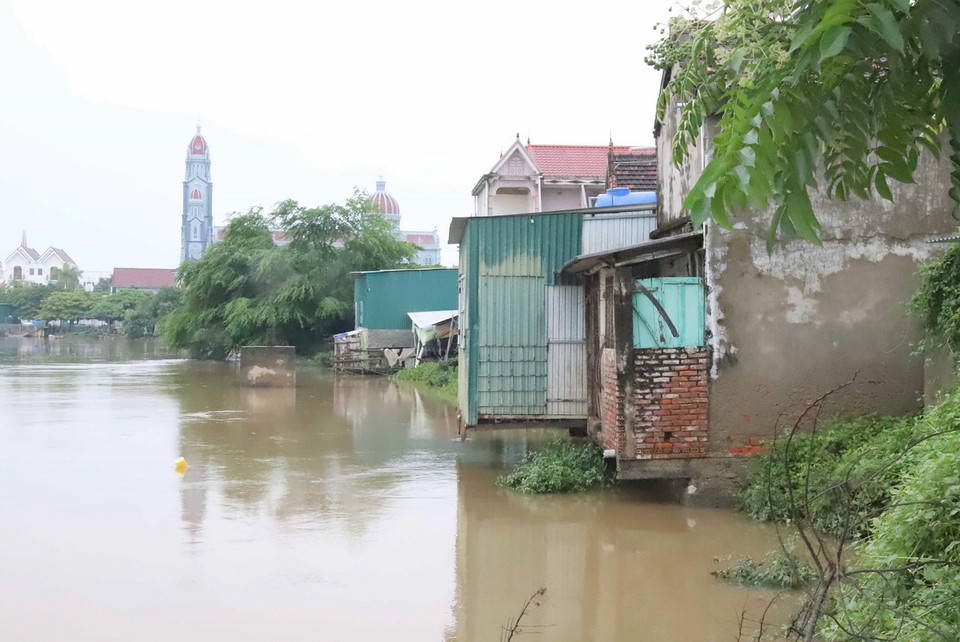 Những ngôi nhà nằm “chênh vênh” bên mép nước dọc bờ đê kênh tiêu lũ Vách Bắc. (Ảnh: Văn Tý/TTXVN)