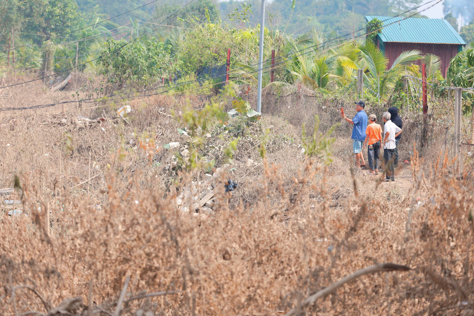 Nước ngập sâu nhiều ngày khiến diện tích trồng đào ven sông Hồng của làng Phú Thượng bị hư hỏng nặng. (Ảnh: Hoàng Hiếu/TTXVN)