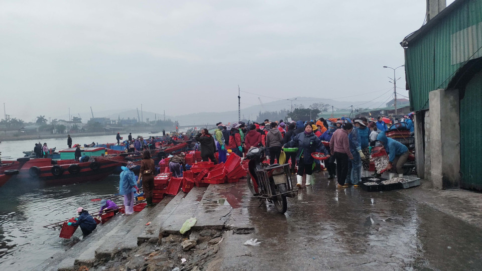 Từ mờ sáng, chợ cá Nghi Thủy, thị xã Cửa Lò, Nghệ An đã tấp nập cảnh mua bán, trên bến, dưới thuyền. (Ảnh: Nguyễn Văn Nhật/TTXVN)