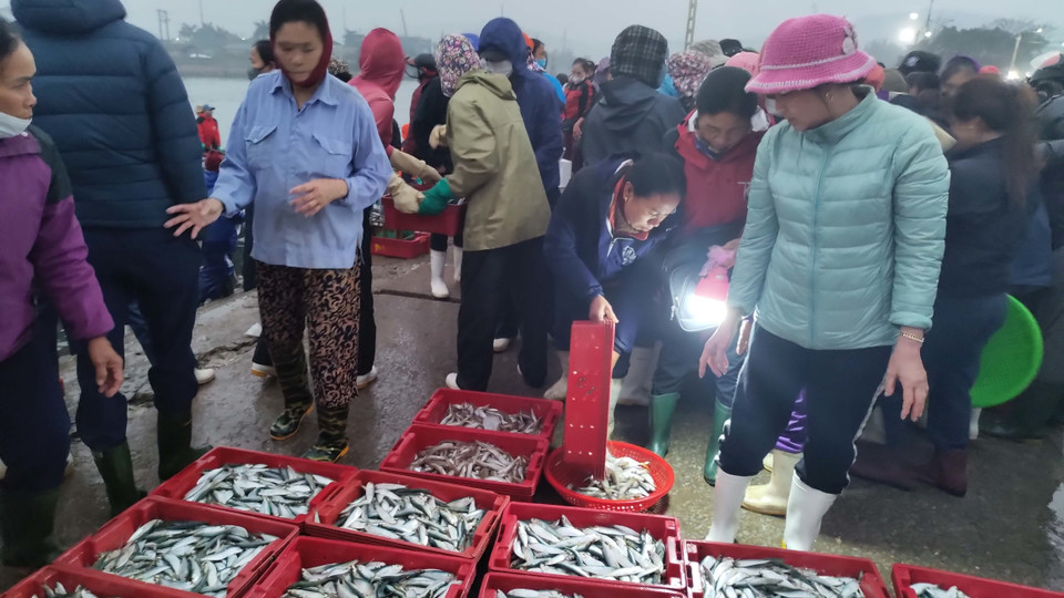 Từ 4 giờ sáng hàng ngày, cảnh mua bán ở chợ cá Nghi Thủy, thị xã Cửa Lò, Nghệ An đã nhộn nhịp. (Ảnh: Nguyễn Văn Nhật/TTXVN)