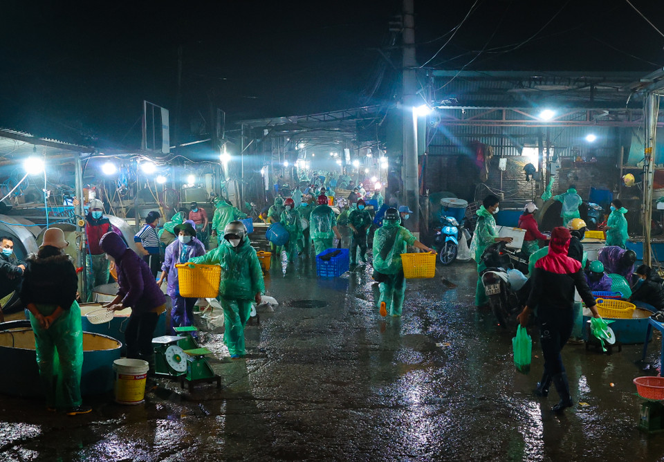 Mọi năm, cứ đến Tết ông Công-ông Táo, chợ cá Yên Sở tại làng Sở Thượng (quận Hoàng Mai, Hà Nội) lại tấp nập bởi các tiểu thương và người dân tìm tới mua cá chép đỏ. (Ảnh: Minh Hiếu/Vietnam+)