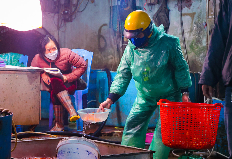 Chị Cao Thị Hạnh, chủ một cở sở kinh doanh của chợ cá Yên Sở chia sẻ: "Năm nay tôi chỉ nhập 1 tấn cá, ít hơn nhiều so với năm ngoái. Do khan hiếm nên giá cá cao hơn mọi năm từ 20.000-50.000 đồng/kg.” (Minh Hiếu/Vietnam+)