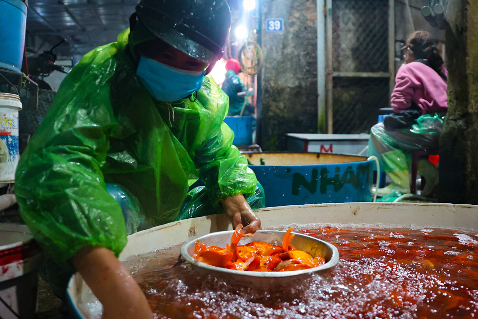 (Minh Hiếu/Vietnam+)