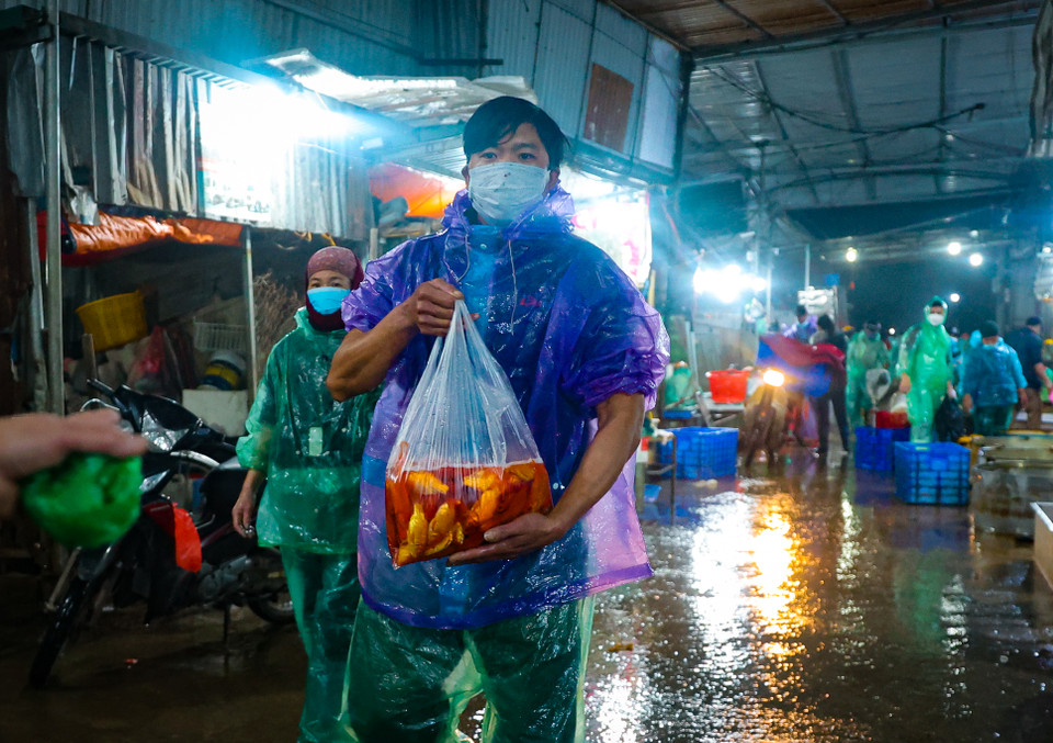 Các tiểu thương tất bật, nhanh chóng vận chuyển cá về các chợ dân sinh để bán. (Minh Hiếu/Vietnam+)