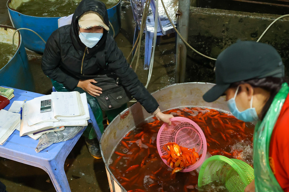 Một số tiểu thương cho biết do ảnh hưởng của dịch bệnh nên lượng khách mua cũng giảm đi đáng kể, do vậy họ không dám nhập nhiều về vì sợ không bán hết. (Minh Hiếu/Vietnam+)