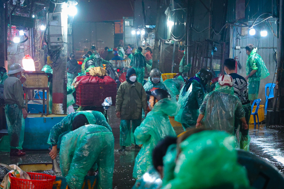Chợ cá Yên Sở (Hoàng Mai, Hà Nội) được biết đến là một trong những chợ cá đầu mối lớn nhất tại Hà Nội hiện nay, cung cấp lượng cá lớn đi các chợ dân sinh. (Minh Hiếu/Vietnam+)