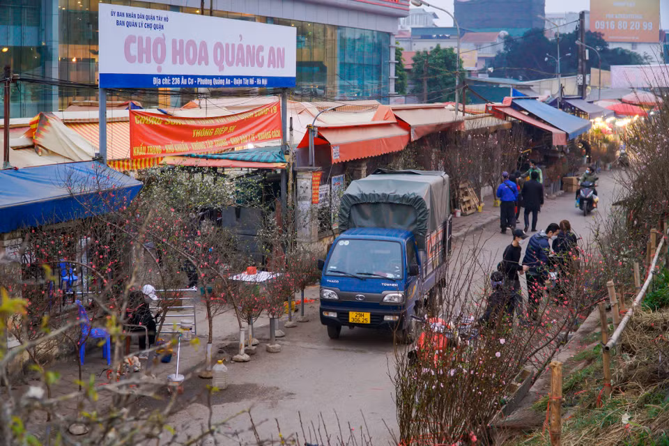 Khu vực chợ hoa Quảng An dịp cận Tết vốn tập nập, năm nay cũng 'kém sắc' hơn nhiều. (Ảnh: Minh Hiếu/Vietnam+)