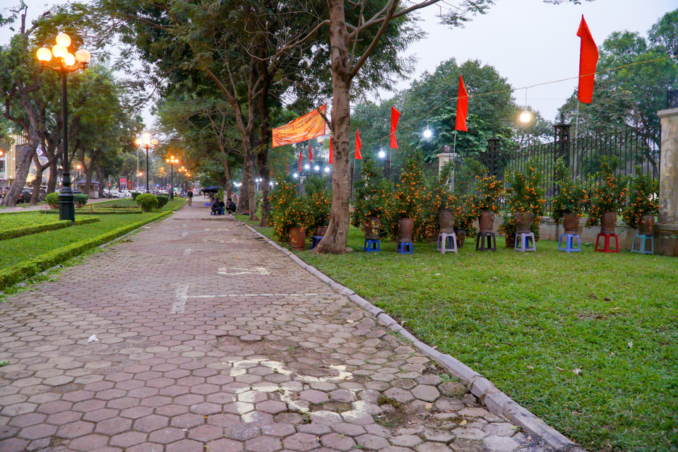 Lác đác một vài tiểu thương đăng ký kinh doanh tại điểm chợ hoa Xuân khu vực phố Trần Nhân Tông. (Ảnh: Minh Hiếu/Vietnam+)