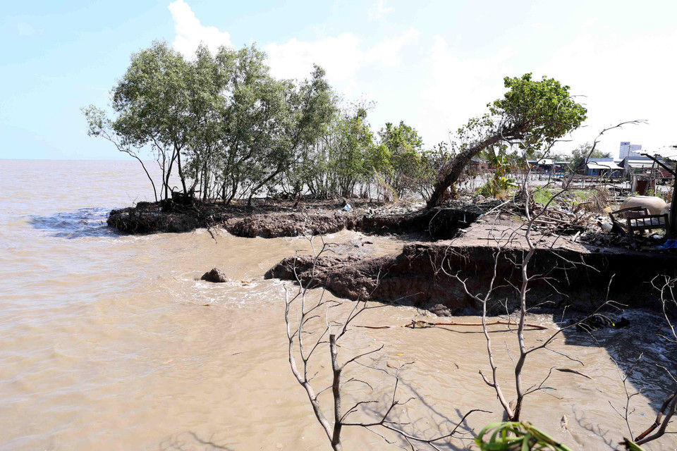 Tuyến đê biển ở ấp Kim Qui, xã Vân Khánh bị sóng biển đánh trôi hồi đầu tháng 6/2019. (Ảnh: Vũ Sinh/TTXVN)
