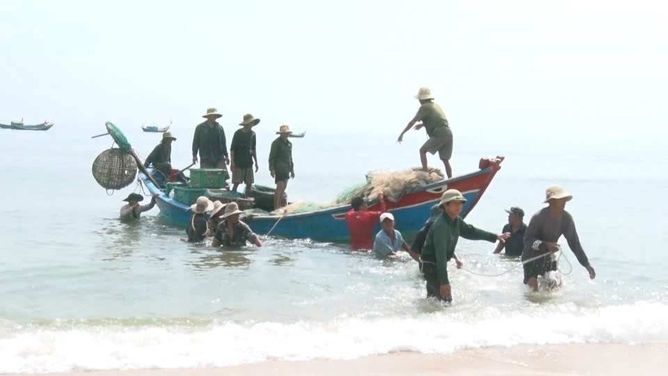 Nhiều chiếc thuyền công suất nhỏ ở huyện Quảng Trạch liên tục ra khơi đánh bắt được nhiều cá cơm, thu hàng triệu đồng sau mỗi chuyến biển gần bờ. (Ảnh: TTXVN phát)