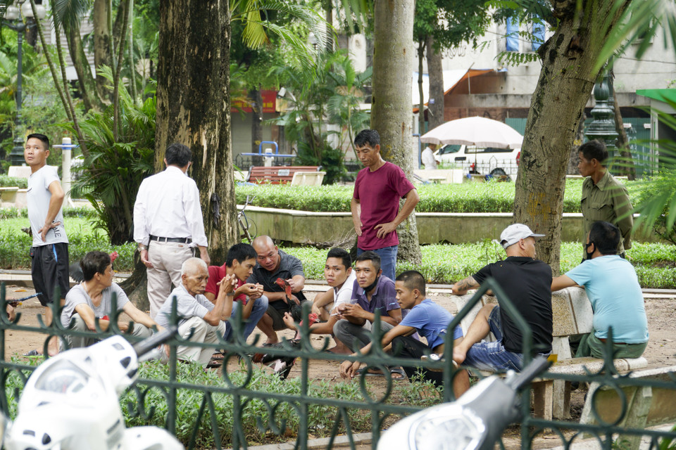 Trước những vi phạm đang tái diễn với mức độ ngày càng nghiêm trọng, tại nhiều nơi, những ngày tới, chính quyền các địa phương cần phải tăng cường hơn nữa công tác tuyên truyền, kiểm tra, xử lý nghiêm các vi phạm, tránh tình trạng chủ quan, lơ là, để dịch bệnh nguy hiểm lây lan trong cộng đồng. (Ảnh: Minh Hiếu/Vietnam+)