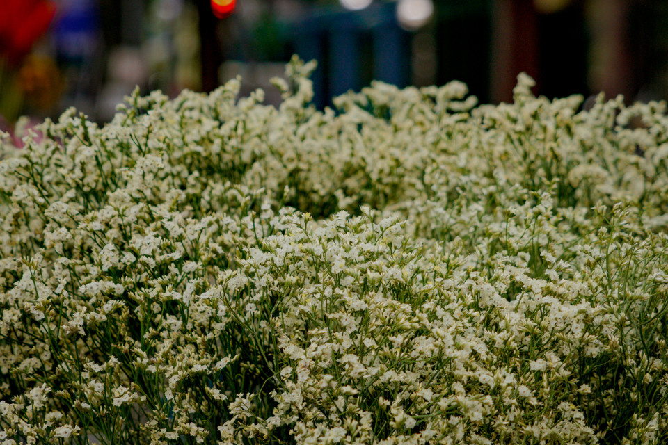 (Ảnh: Minh Hiếu/Vietnam+) 