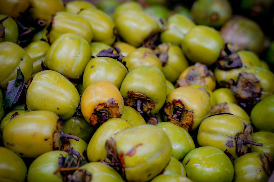 Đối với người Hà thành hồng giòn vẫn là thức quả được ưa chuộng nhất khi tiết trời vào Thu bởi hương vị đặc trưng rất riêng. (Ảnh: Minh Hiếu/Vietnam+)