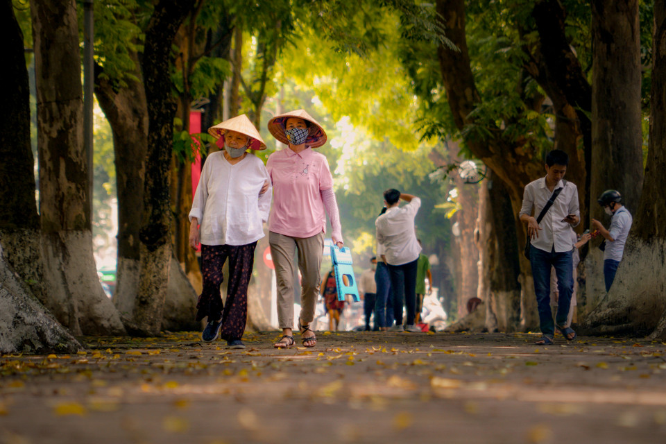 Lá rụng phủ kín đường đi, địa điểm lý tưởng để ra đường tản bộ. (Ảnh: Minh Hiếu/Vietnam+)