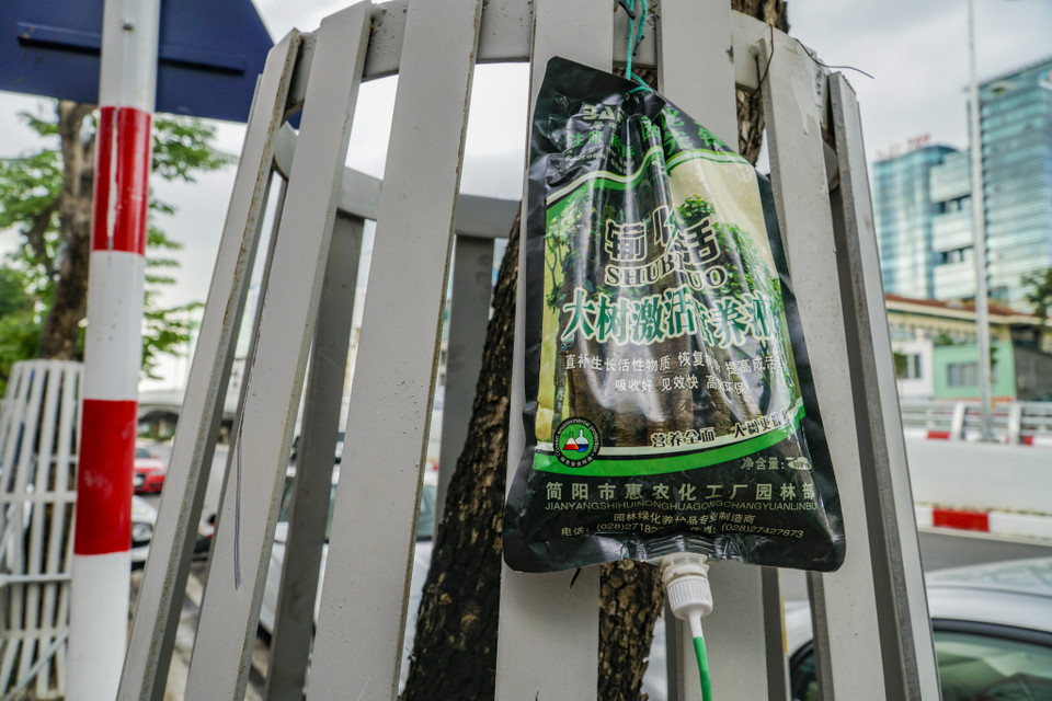 Những túi dịch màu xanh này có chữ Trung Quốc. Theo thông tin có trên túi, túi này có nghĩa là 'dung dịch dưỡng chất kích hoạt cây lớn' hay 'dịch bổ sung hoạt chất hồi sức cho cây.' Công ty sản xuất túi trên có cơ sở tại thành phố Giản Dương, tỉnh Tứ Xuyên, Trung Quốc. (Ảnh: Minh Hiếu/Vietnam+)